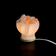 Load image into Gallery viewer, Selenite Bowl Lamp
