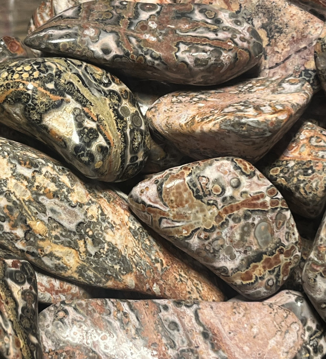 Leopardskin Jasper Tumbled