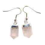 Load image into Gallery viewer, Faceted Point Earrings - Assorted

